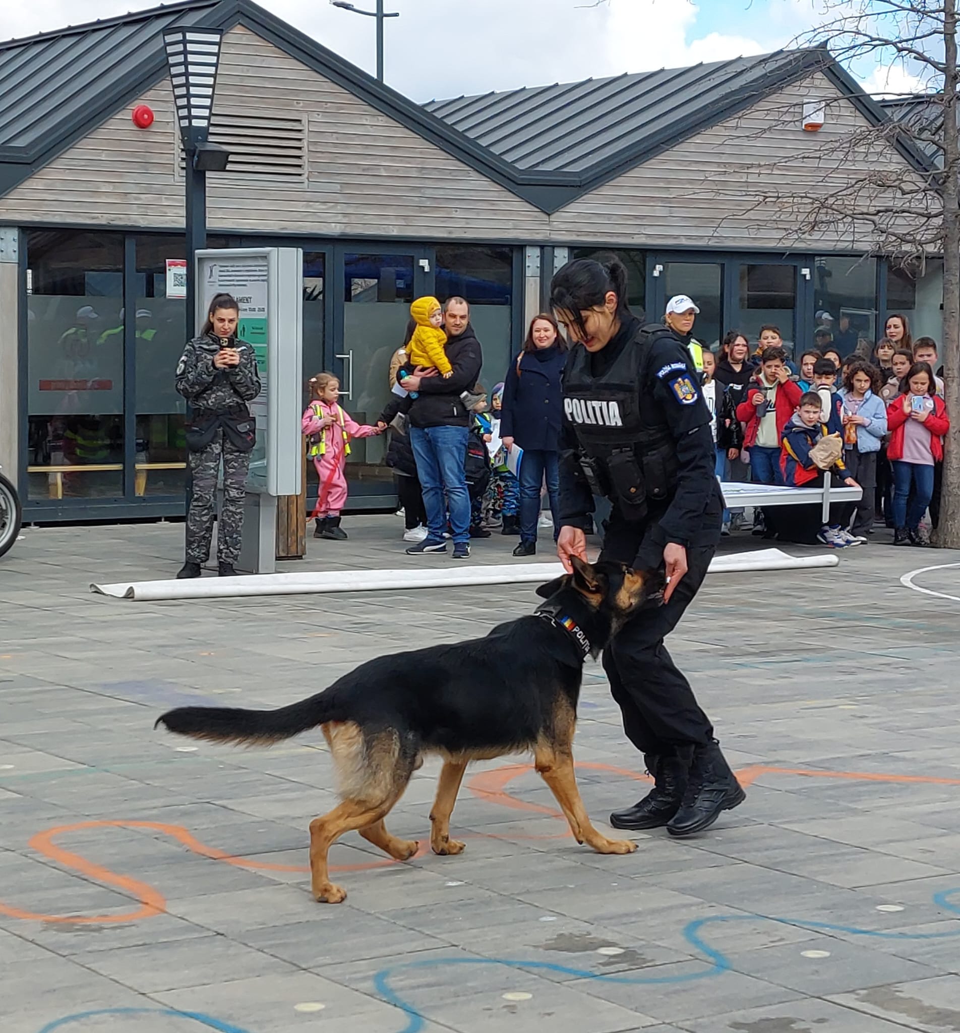 Poliția Sibiu caută iubitor de câini. Înscrierile se fac până în 3 aprilie