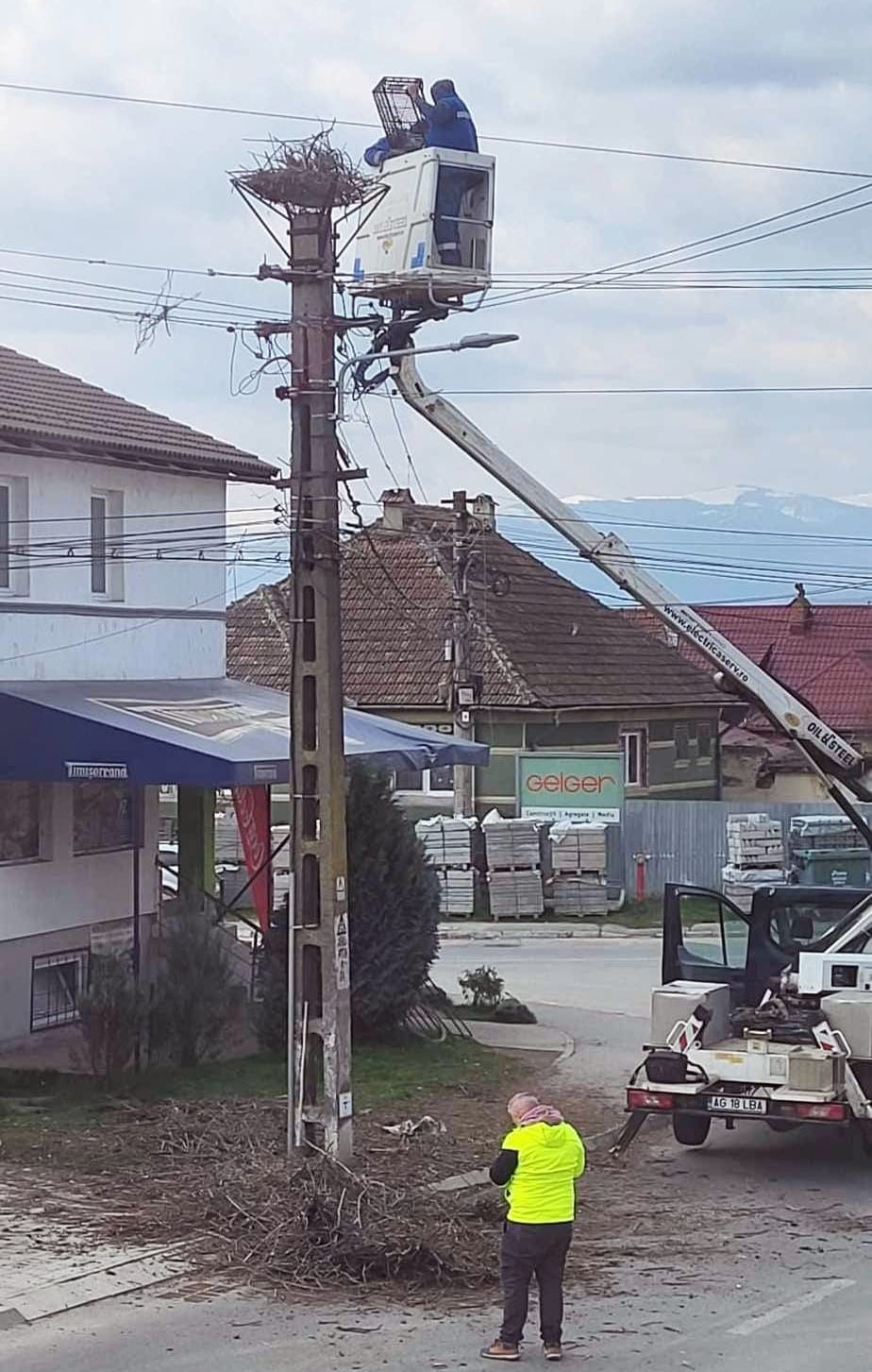 ”Ne-am gândit să venim cu un mic ajutor în întâmpinarea berzelor care își fac cuiburi”. Suporturi noi pentru cuiburi sigure, în Avrig