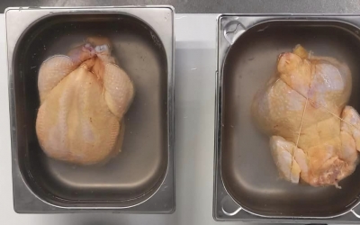 Şeful ANPC: Ne confruntăm cu un atentat serios la siguranţa fiecăruia dintre noi - pui îngălbeniţi, împănaţi cu tulpini de salmonela
