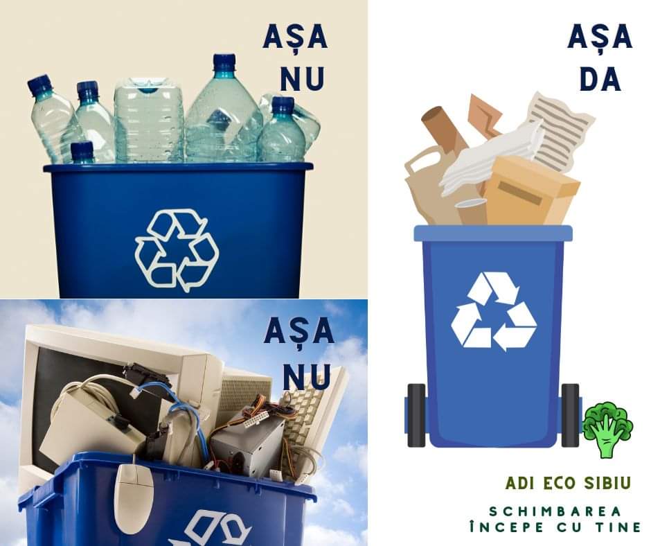 35% din copacii tăiați pe întreaga planetă sunt folosiți pentru producerea de hârtie. Sfaturi pentru reducerea consumului de hârtie printată