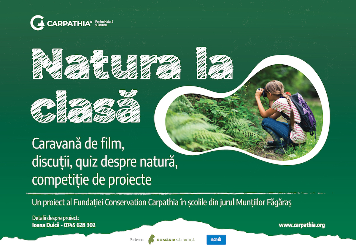 Concurs de proiecte verzi lansat de Fundaţia Conservation Carpathia. Elevii din jurul Munţilor Făgăraş pot câștiga o tabără de un weekend