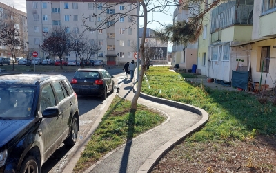 Se poate și fără copaci tăiați: În două cartiere din Sibiu aleile ocolesc pomișorii pentru a-i proteja