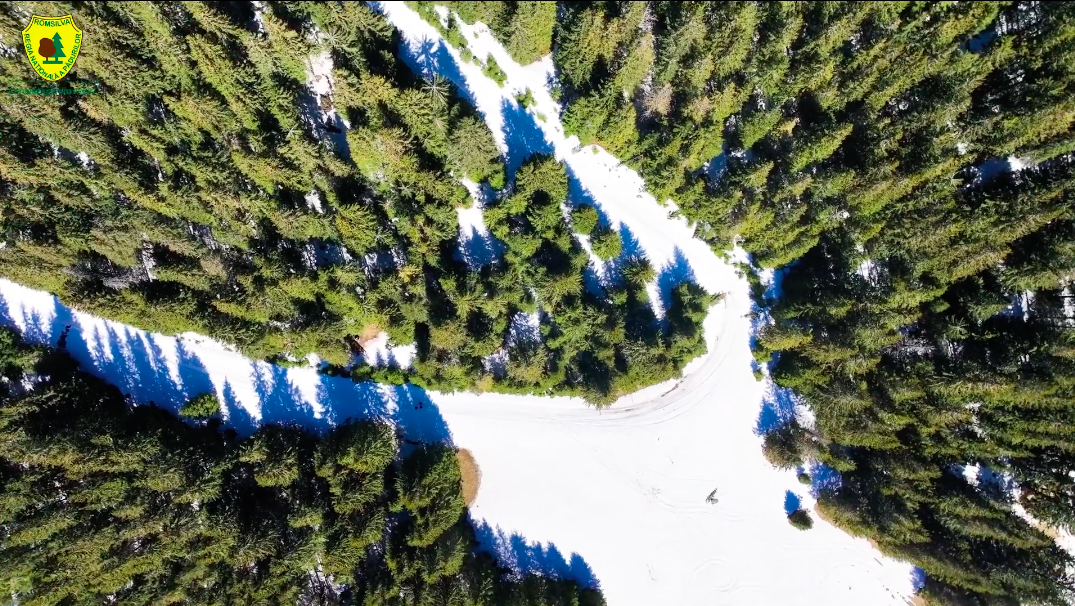 Direcția Silvică Sibiu: Imagini superbe filmate din dronă, cu fondul forestier din apropierea stațiunii montane Păltiniș
