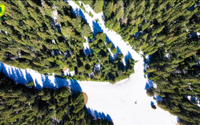 Direcția Silvică Sibiu: Imagini superbe filmate din dronă, cu fondul forestier din apropierea stațiunii montane Păltiniș