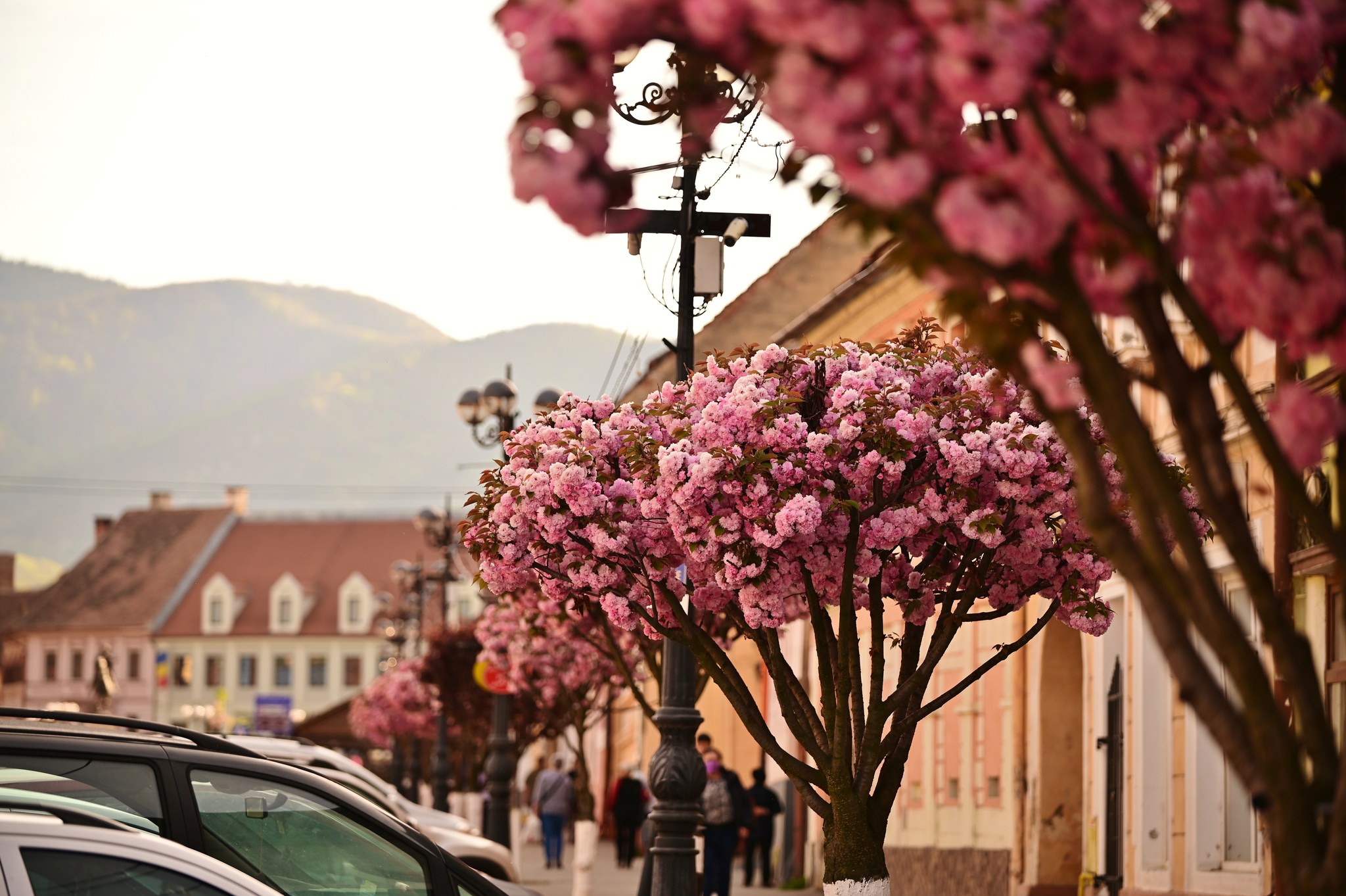 26 de grade Celsius, astăzi, în municipiul Sibiu. 12 grade și la Bâlea