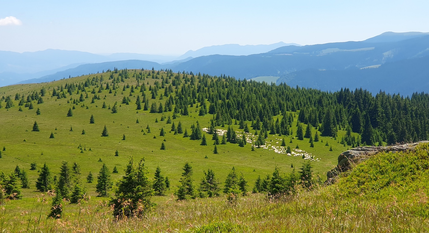 Din fonduri europene: punct de belvedere deasupra Păltinișului, pe vf. Bătrâna, și refugiu montan deasupra Sadului, pe vf. Prejba