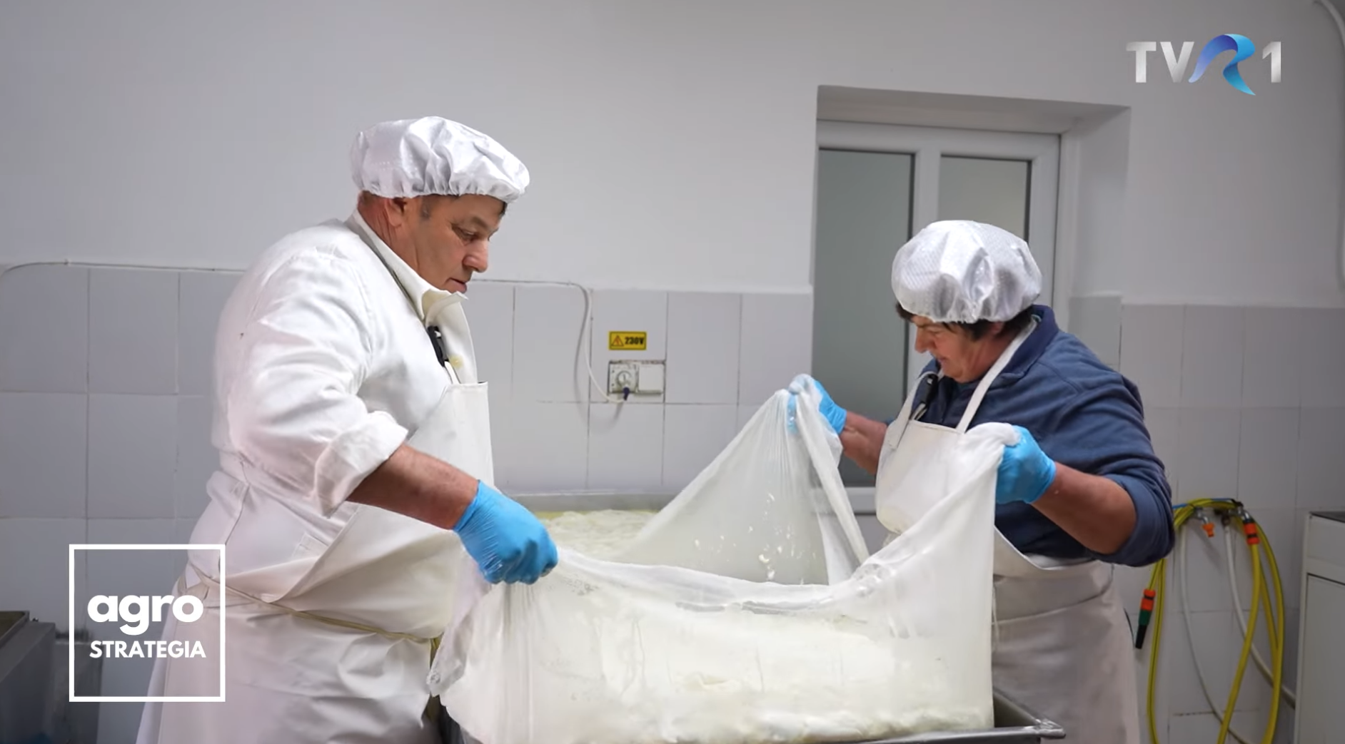 Producător din Vurpăr: Pentru un kg de Telemea de Sibiu folosim 5 litri de lapte de oaie, iar costurile de producție sunt de 6 lei litru de lapte