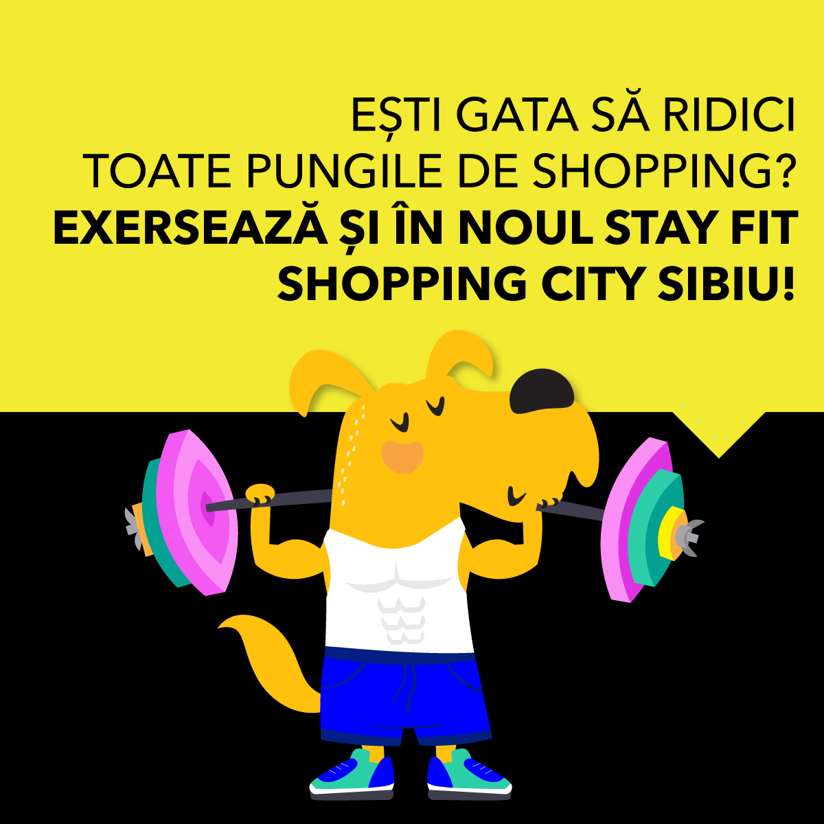 Stay Fit Gym se deschide în Shopping City Sibiu