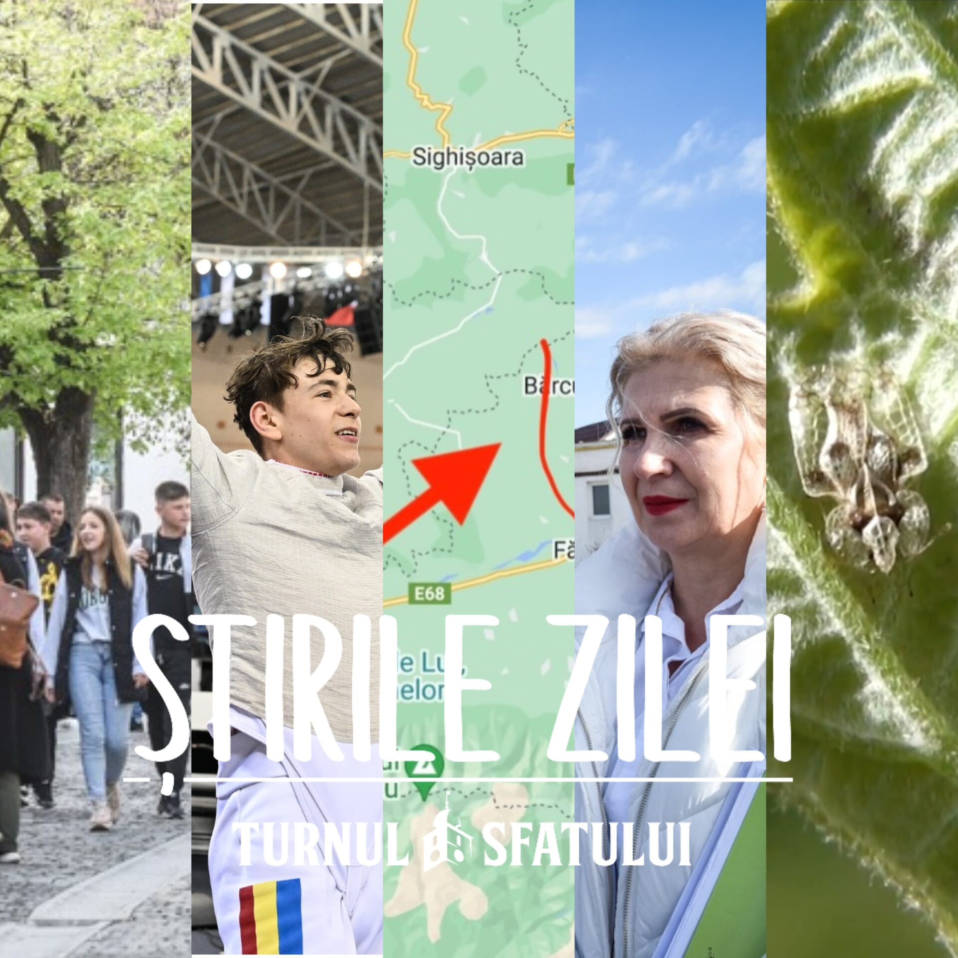 Știrile zilei, 18 aprilie. Primăria dă explicații despre tigrul platanului, Sibiul are sute de elevi la studii în străinătate și România are campion mondial la scrimă