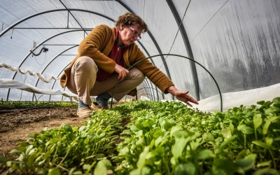 Olandeza care s-a mutat acum 20 de ani într-un sat din Sibiu ca să cultive legume bio caută pe cineva care să-i continue afacerea