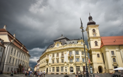 Primăria Sibiu continuă pe subiectul tigrul platanului și ploșnița dantelată: Deși înțelegem disconfortul creat și nemulțumirea cetățenilor  nu putem acționa decât legal