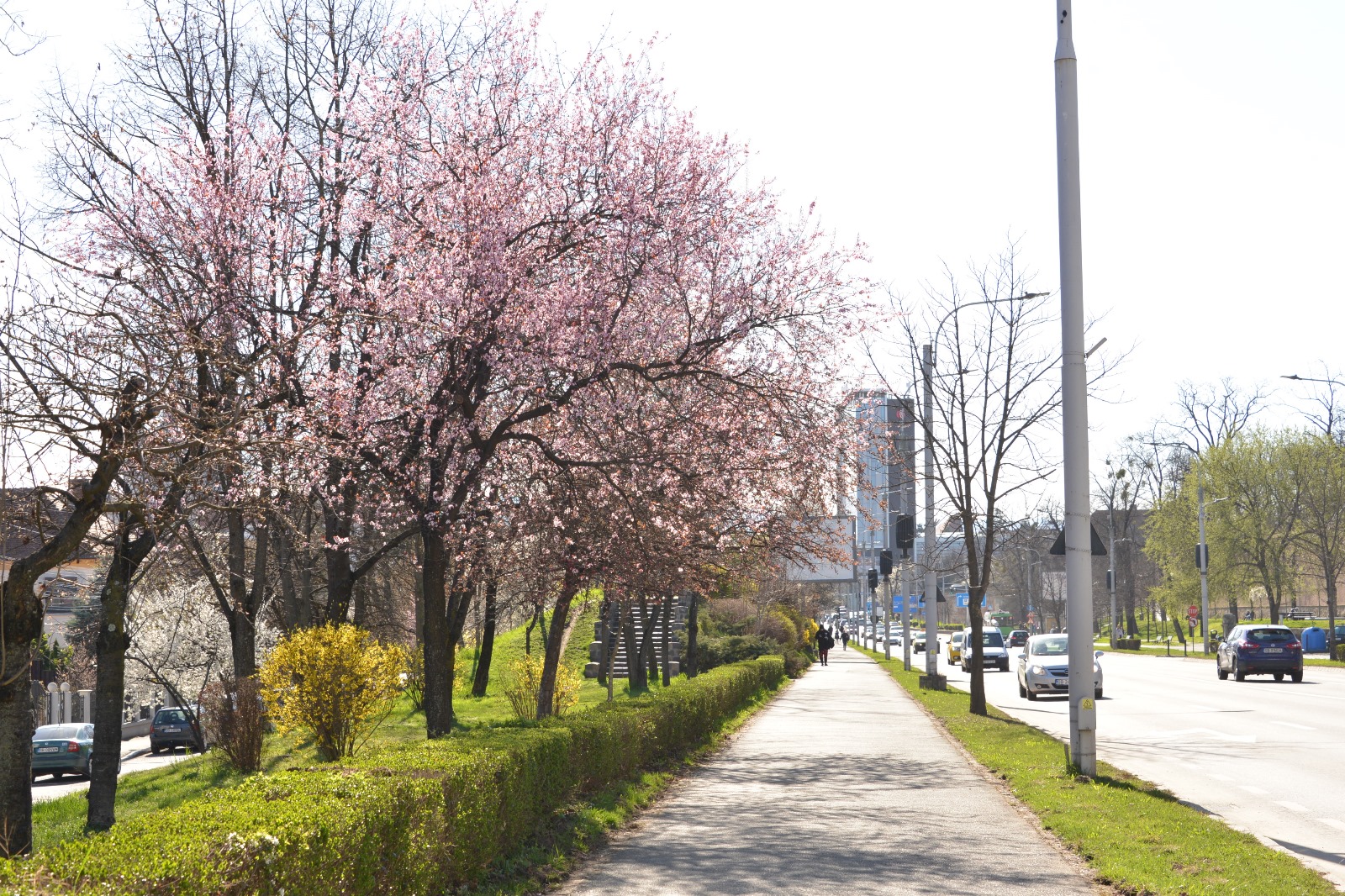 20 de grade, astăzi, în municipiul Sibiu. Vreme frumoasă și duminică