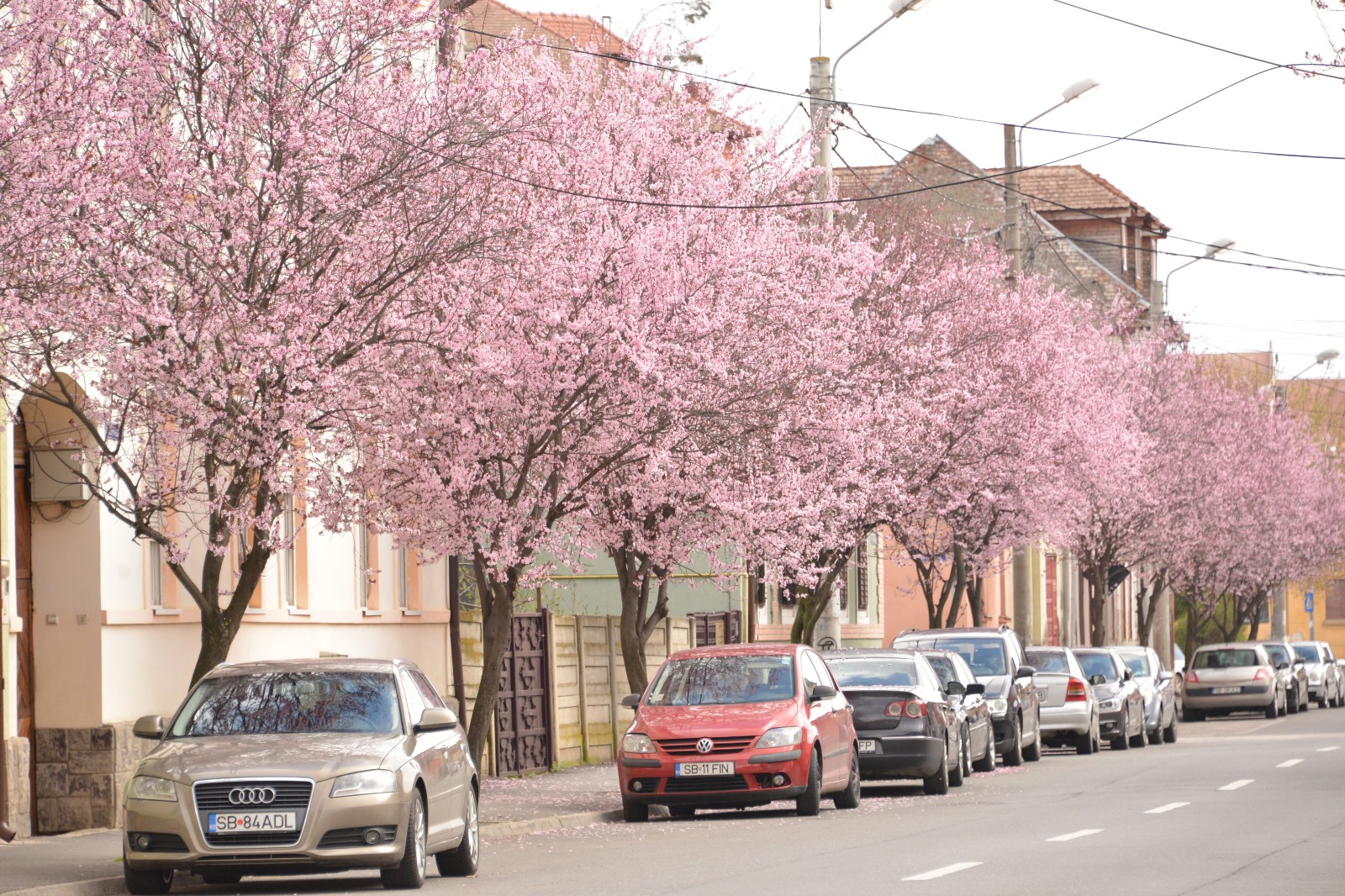 Record: Cea mai călduroasă lună martie, în Sibiu. O diferență de 4,5 grade Celsius în plus față de media ultimilor 63 de ani