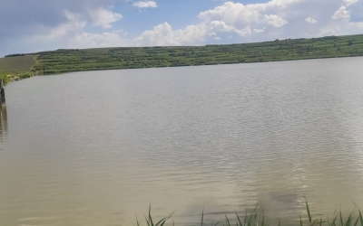 11 pescari amendați cu 8.600 de lei. Prinși în prohibiție pe Olt