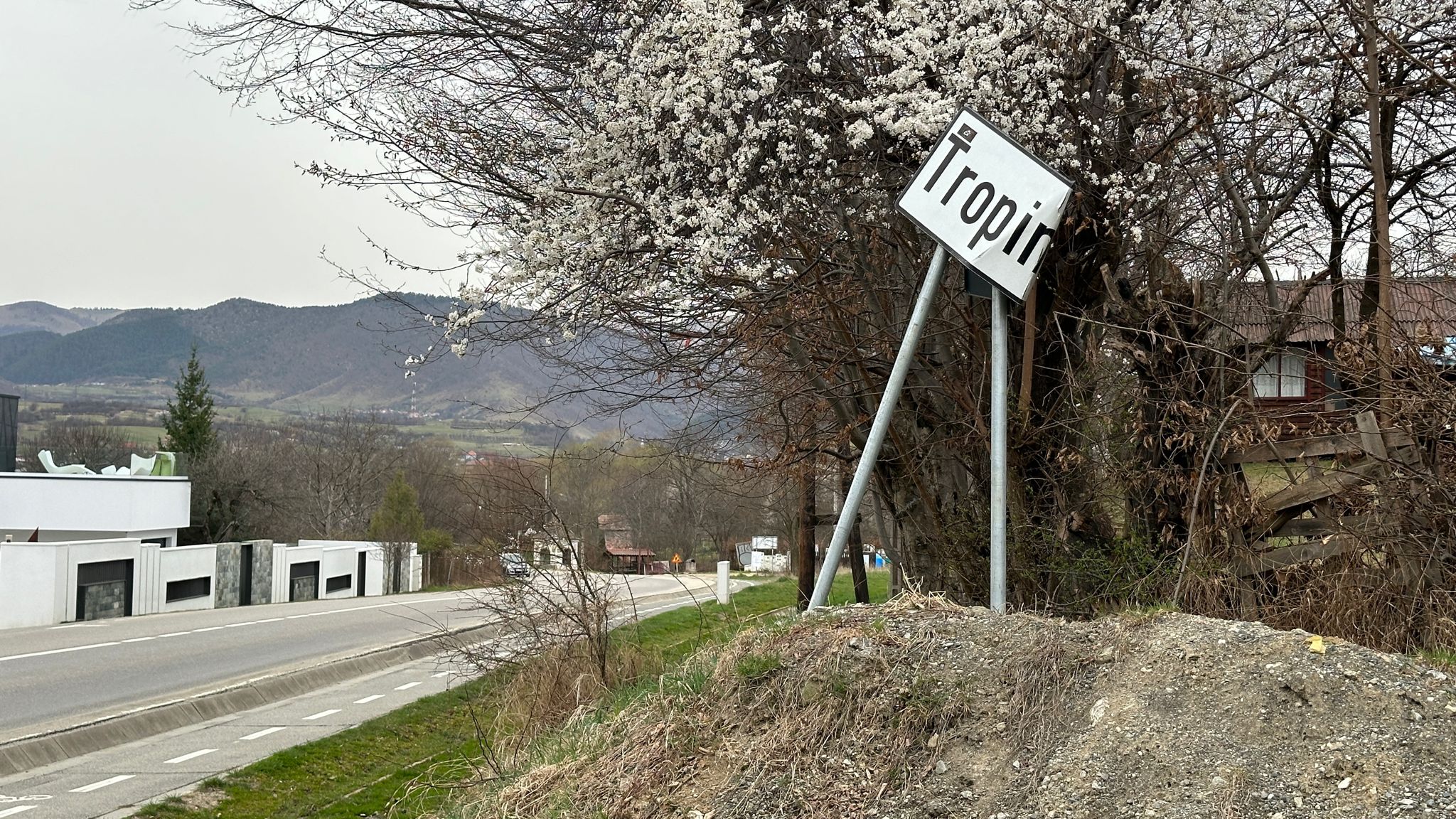 Noi case de vacanță lângă Pădurea Dumbrava. Proiect pe masa consilierilor locali din Sibiu
