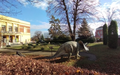 Copiii, părinții și bunicii au intrare gratuită la Muzeul de Istorie Naturală din Sibiu, de 1 Iunie