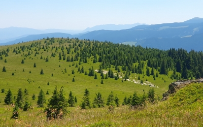 Parteneriat între Consiliul Județean și primăriile Cârțișoara, Rășinari și Sadu pentru amenajarea unui punct belvedere pe Vârful Bătrâna, construirea unui refugiu montan în zona Prejba și modernizarea Bazei Salvamont de la Bâlea