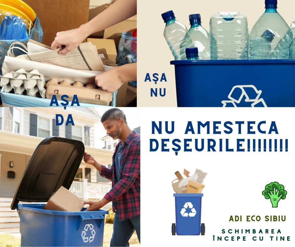 Reciclarea trebuie făcută inteligent: Sfaturi pentru a reduce consumul de hârtie