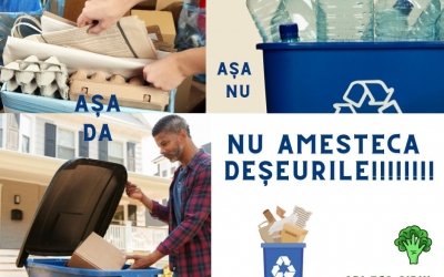 Reciclarea trebuie făcută inteligent: Sfaturi pentru a reduce consumul de hârtie