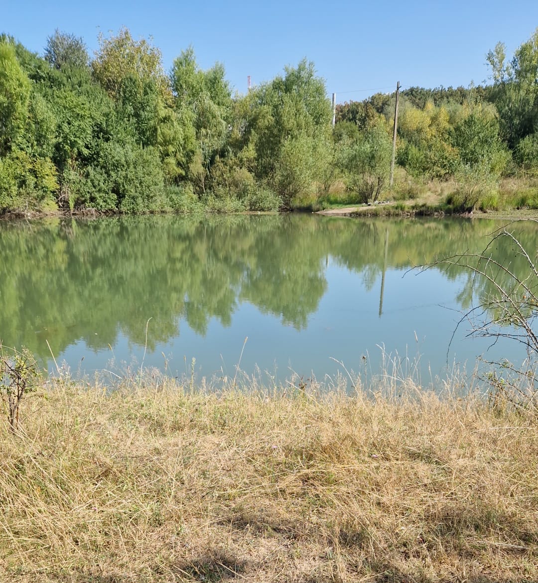 Un copil de 14 ani din Sibiu și-a rupt ghipsul de la mână și a sărit într-un lac să-și salveze prietenul de la înec