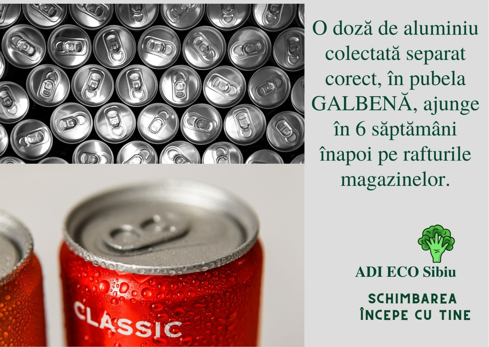 Aluminiul: cum și de ce să îl reciclăm?