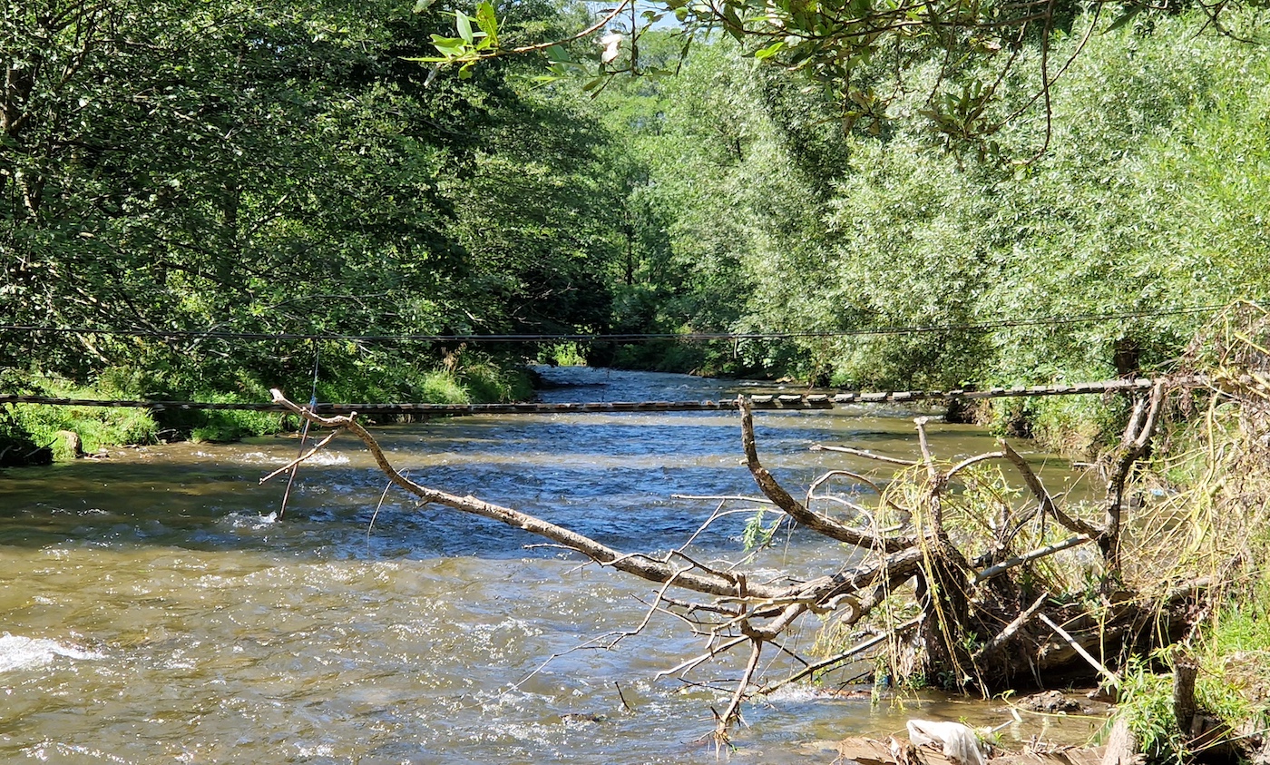 Apă Canal, după ce a informat despre infestarea cu materii fecale a râului Sadu: „Este mai degrabă o îngrijorare manifestată față de calitatea viitoare a acestei surse de apă”