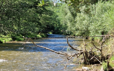Apă Canal, după ce a informat despre infestarea cu materii fecale a râului Sadu: „Este mai degrabă o îngrijorare manifestată față de calitatea viitoare a acestei surse de apă”