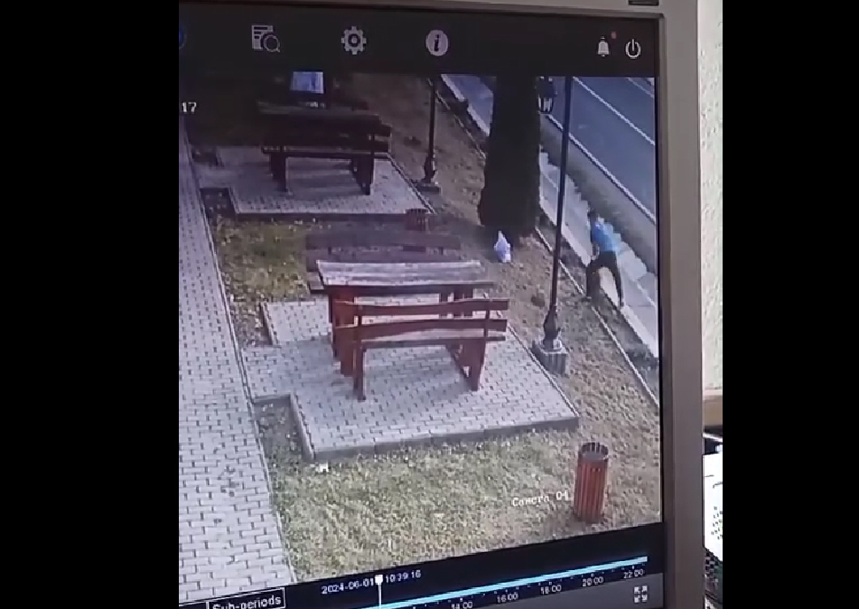 Ce se mai fură prin comune: brăduți ornamentali. Hoțul a fost înregistrat pe camerele de supraveghere