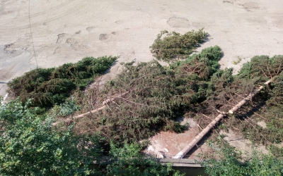 ”Aveam și noi un pic de umbră și ne-au luat-o și pe aceea”. Sibieni nemulțumiți de tăierea mai multor arbori în curtea ISU Sibiu