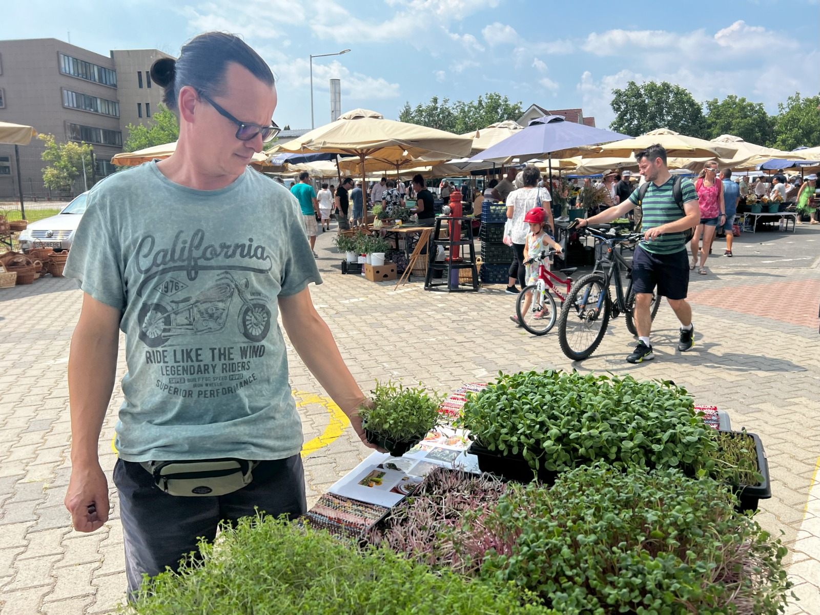 Un brăilean a renunțat la amenajări interioare în Anglia pentru a crește microplante la Sibiu. ”Sunt o sursă enormă de nutrienți și vitamine naturale”. Despre sibieni: ”Sunt oameni buni, dar consumă foarte multă carne și sunt ușor reticenți la ce este nou