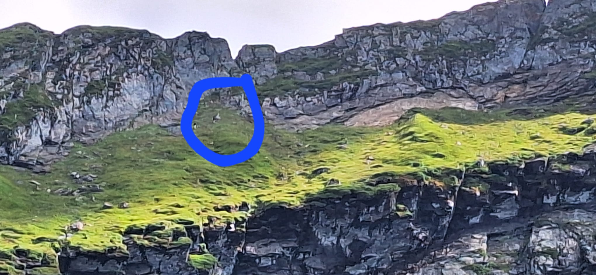 Doi turiști străini s-au blocat cu privirile înspre Bâlea Lac: au părăsit traseul marcat