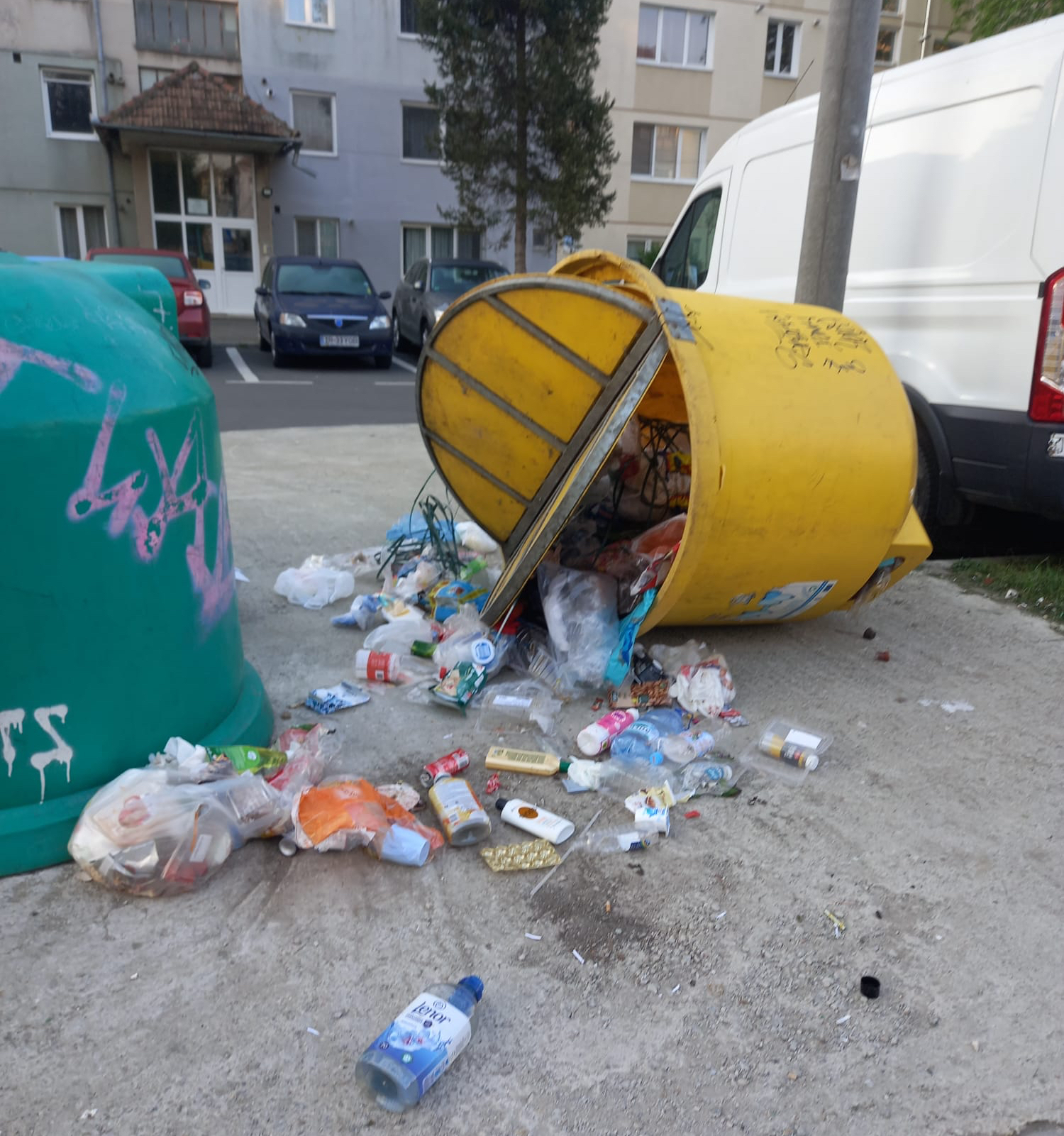 Căutătorii de PET-uri: Poliția Locală începe să patruleze și prin apropierea platformelor pentru deșeuri. Amenzi între 100 și 2.000 de lei