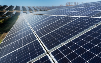 Marquardt Sibiu investește peste 650.000 de euro în panouri fotovoltaice: ”Vor acoperi peste 50% din consumul halei respective”