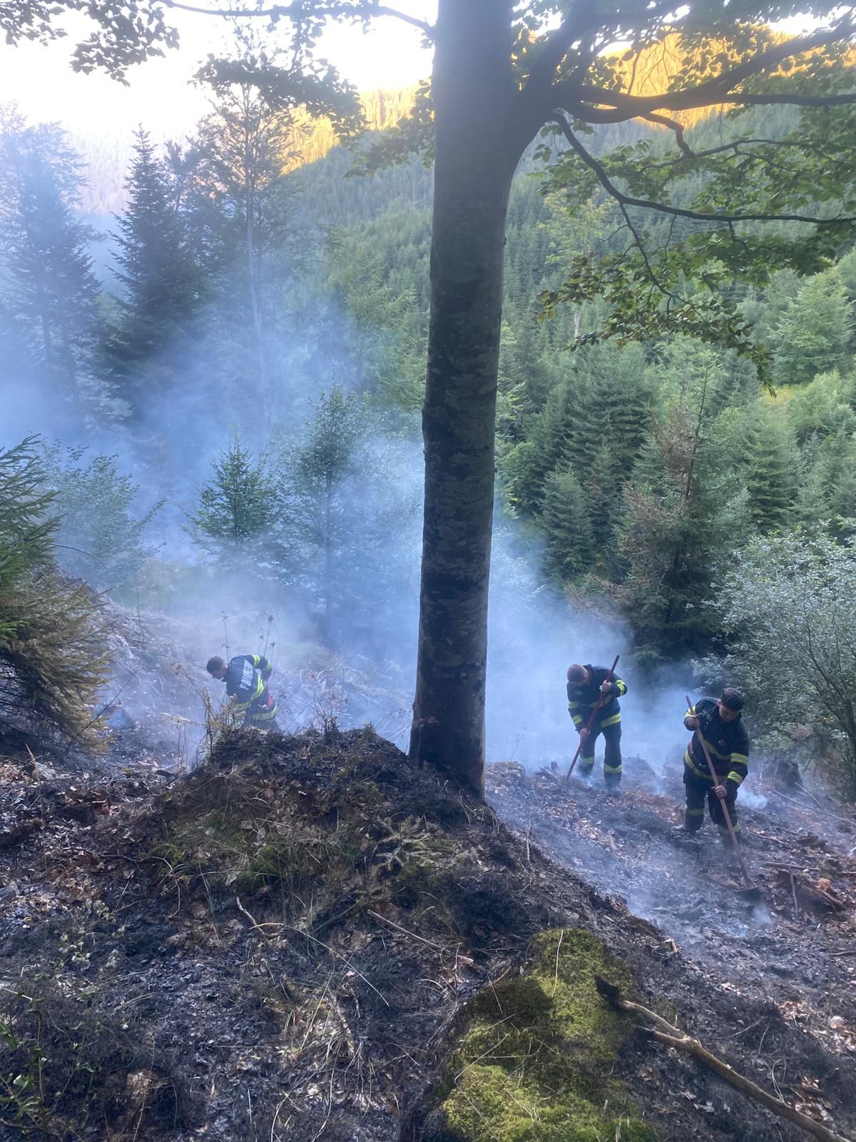 Incendiul izbucnit din cauza accidentului cu ATV încă nu a fost stins. „Intervenția este una de lungă durată și foarte dificilă”