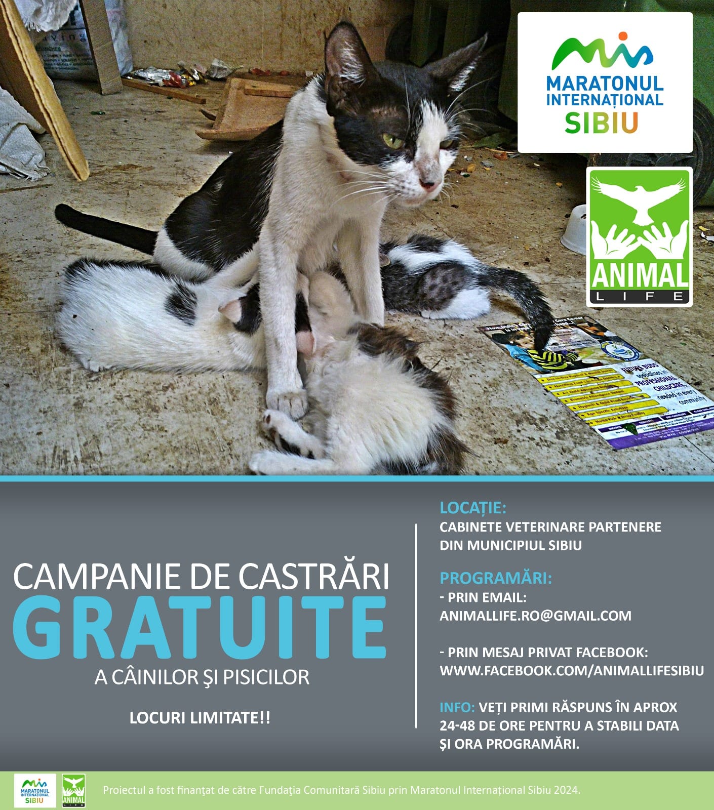 Asociația Animal Life Sibiu continuă campania de sterilizări gratuite a câinilor și pisicilor. „Se adresează persoanelor cu venituri reduse sau fără venit, care nu își pot permite costurile unei astfel de proceduri”