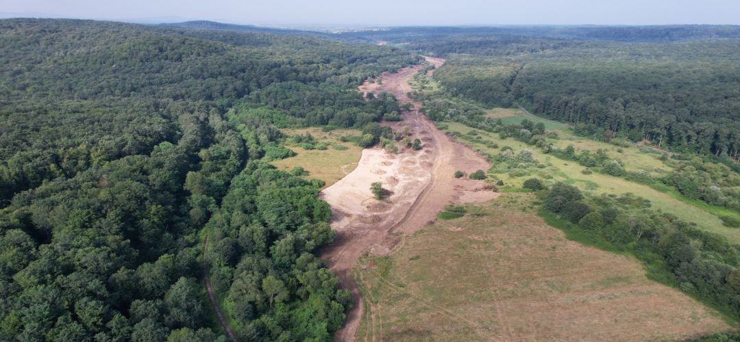 Din august 2026 am putea merge doar pe autostradă în vest. S-a emis autorizația de construcție pentru tunelurile pentru urși de pe porțiunea lipsă din Sibiu – Nădlac.