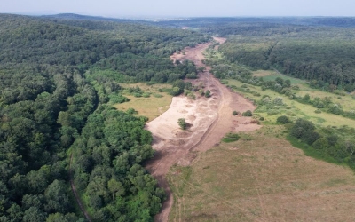 Din august 2026 am putea merge doar pe autostradă în vest. S-a emis autorizația de construcție pentru tunelurile pentru urși de pe porțiunea lipsă din Sibiu – Nădlac.