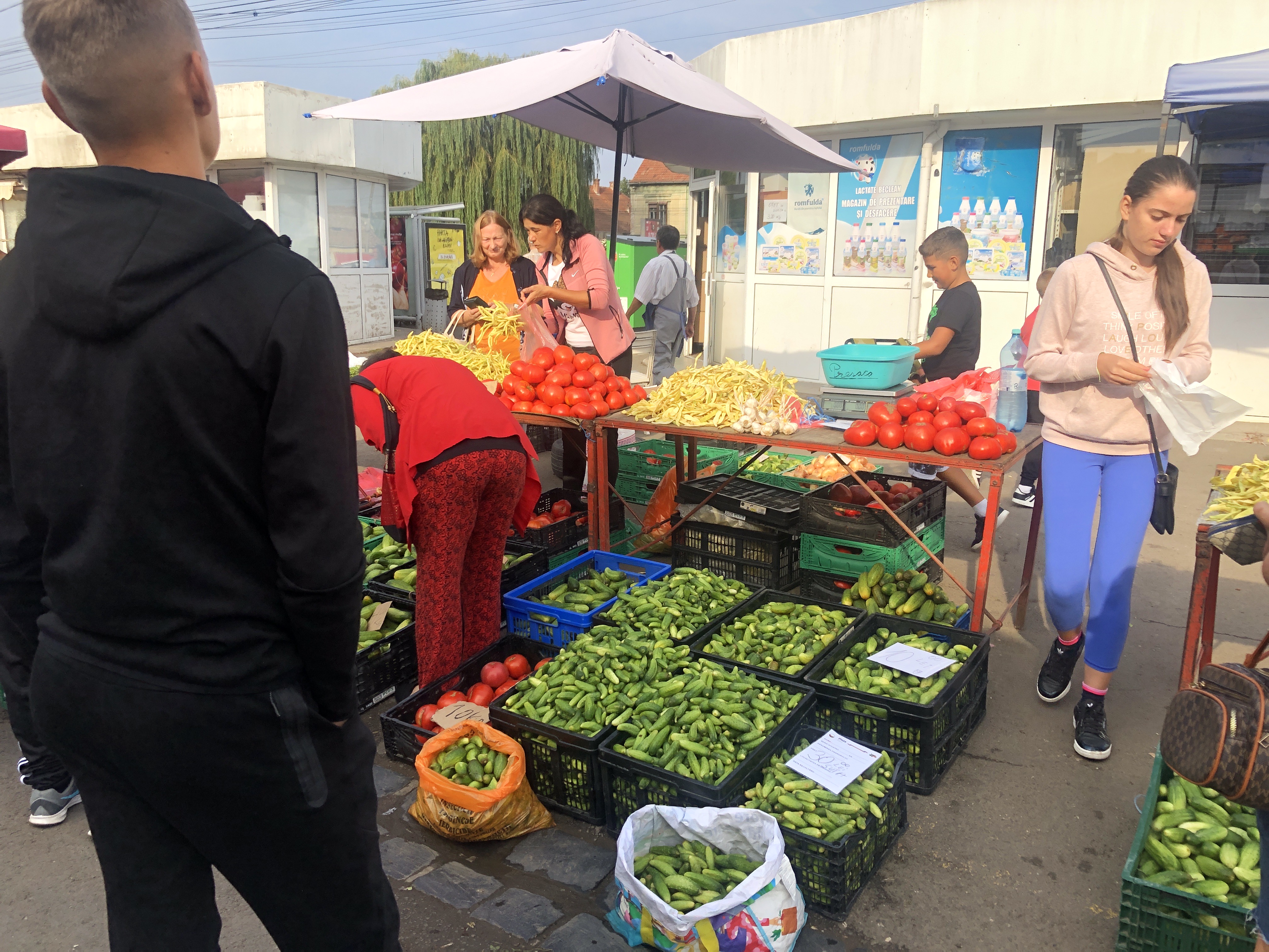 Au apărut castraveții pentru murat în Piața Cibin