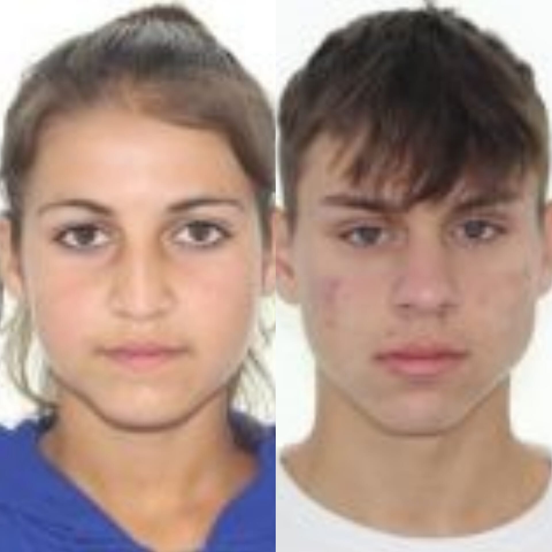 Doi frați minori sunt dați dispăruți de mama lor. Polițiștii cer ajutorul sibienilor pentru a-i găsi