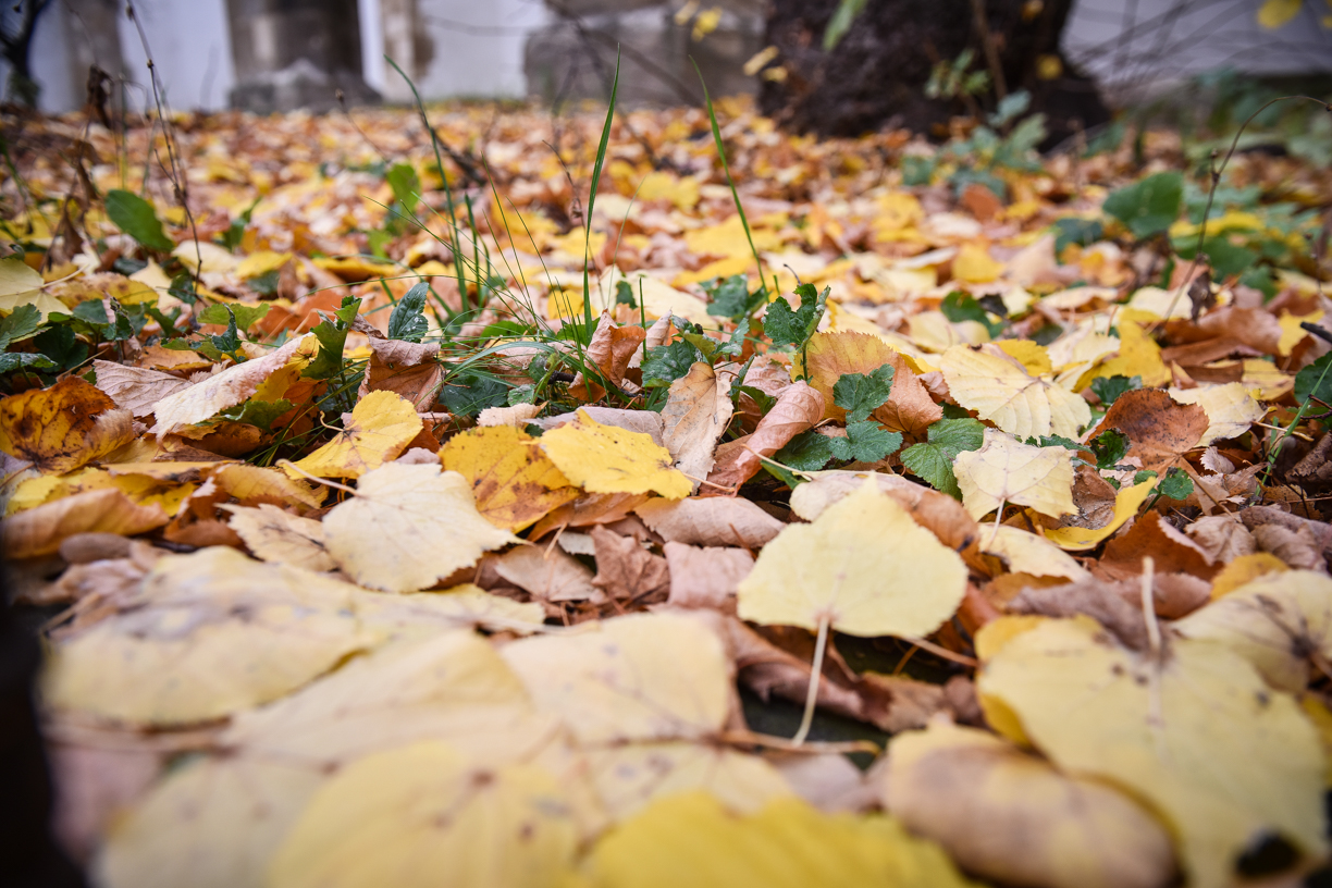 Vremea la Sibiu, săptămâna viitoare: temperaturi maxime de 24 de grade și ploi la munte