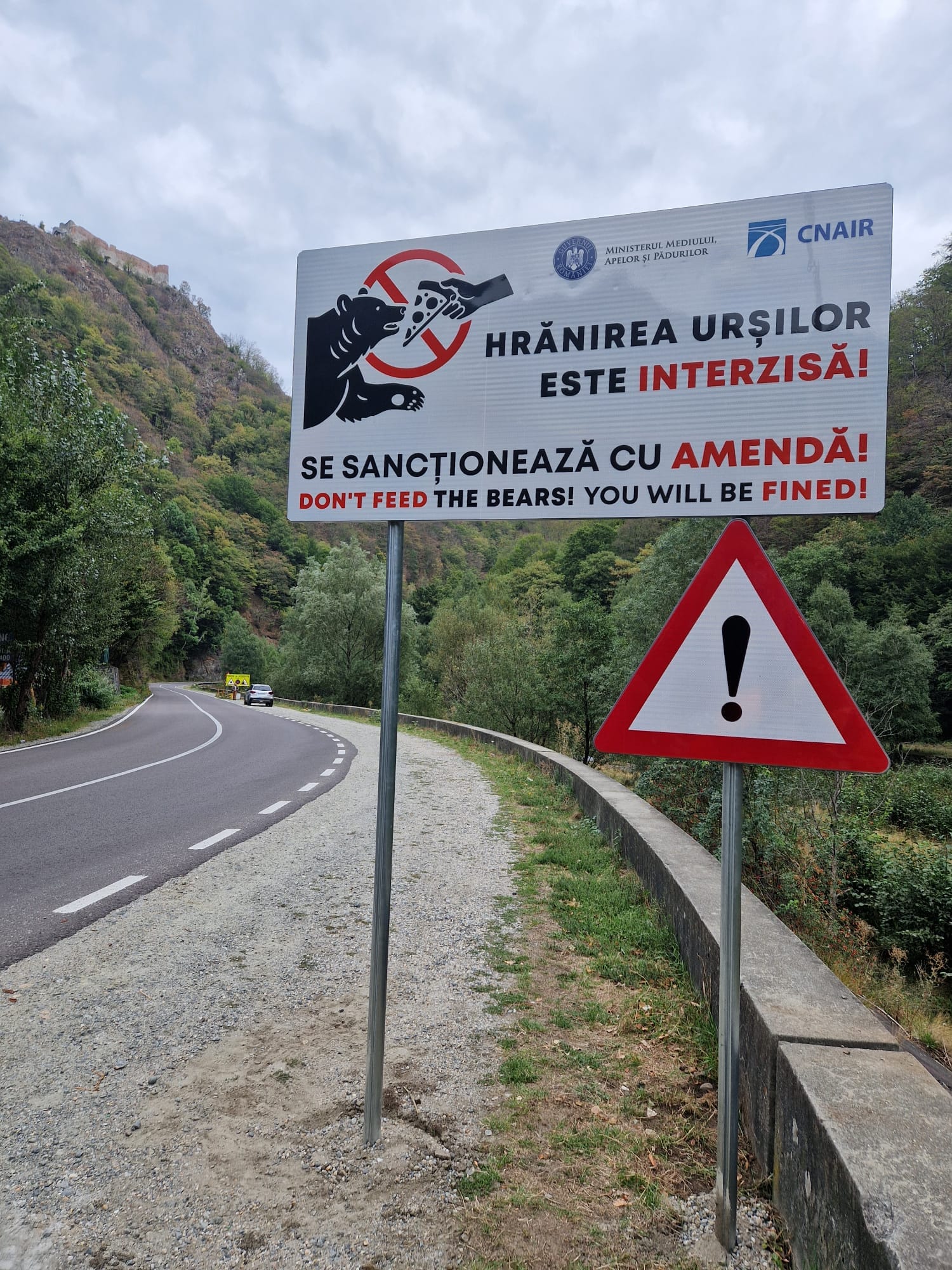 Au fost instalate primele zece panouri de avertizare pe Transfăgărăşan, prin care turiștilor li se interzice hrănirea urșilor