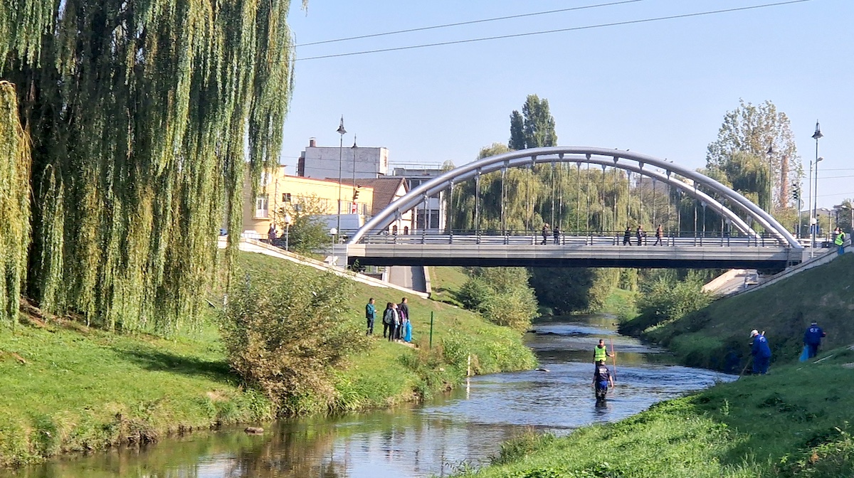 56 de cauciucuri scoase din câteva sute de metri de Cibin. Angajații Apelor Române Sibiu au furat startul la curățenia de toamnă