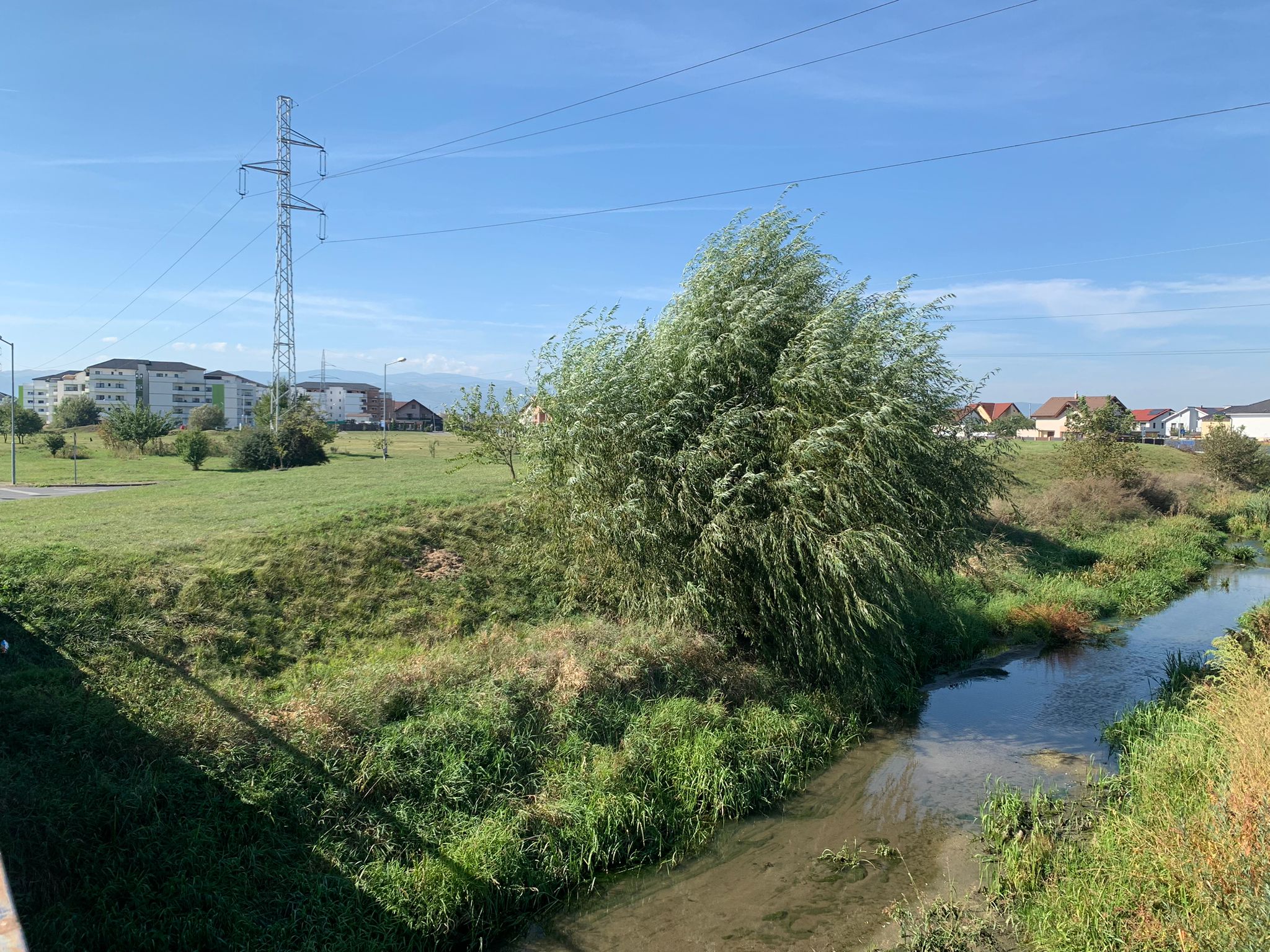 Coridor verde în cartierul Tineretului: 3 hectare și aproape 16 milioane de lei pentru amenajare. Primăria prezintă primele date la Agenția de Mediu