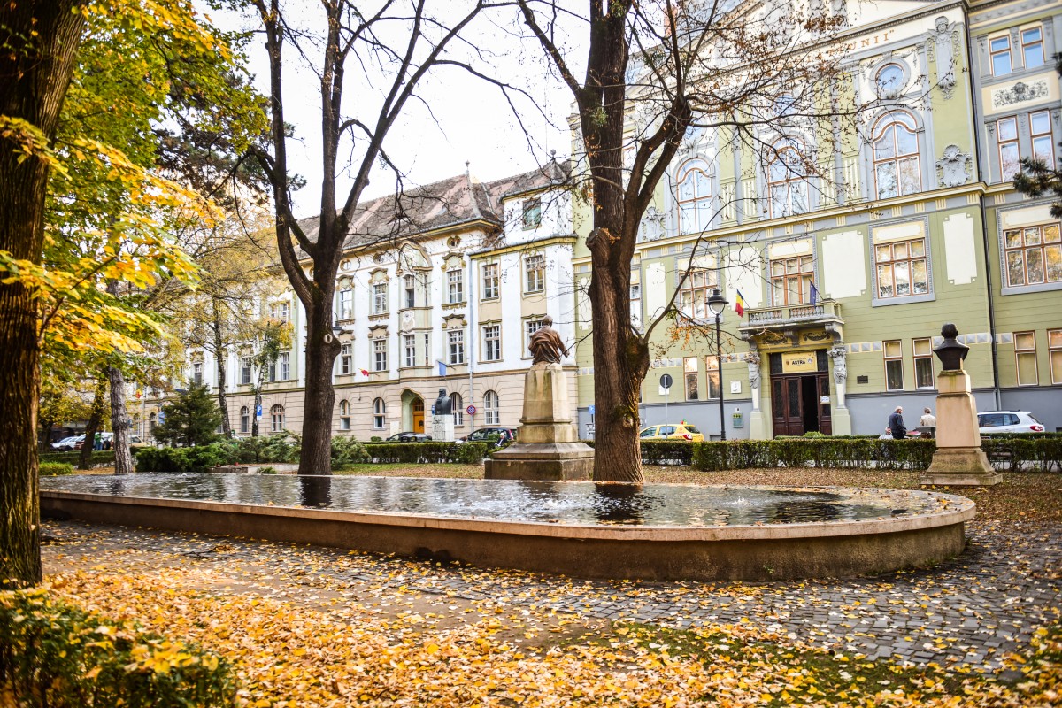 Proiectul de amenajare a Parcului Astra, revizuit: Investiția depășește 2 milioane de euro, iar studiul dendrologic propune tăierea a 16 arbori și plantarea altor 30