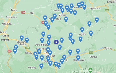 Marpod, localitatea casnicelor, Bruiu - a șomerilor, Mediaș - a pensionarilor, Iacobeni - a școlarilor. Statistica județului în funcție de ocupația locuitorilor