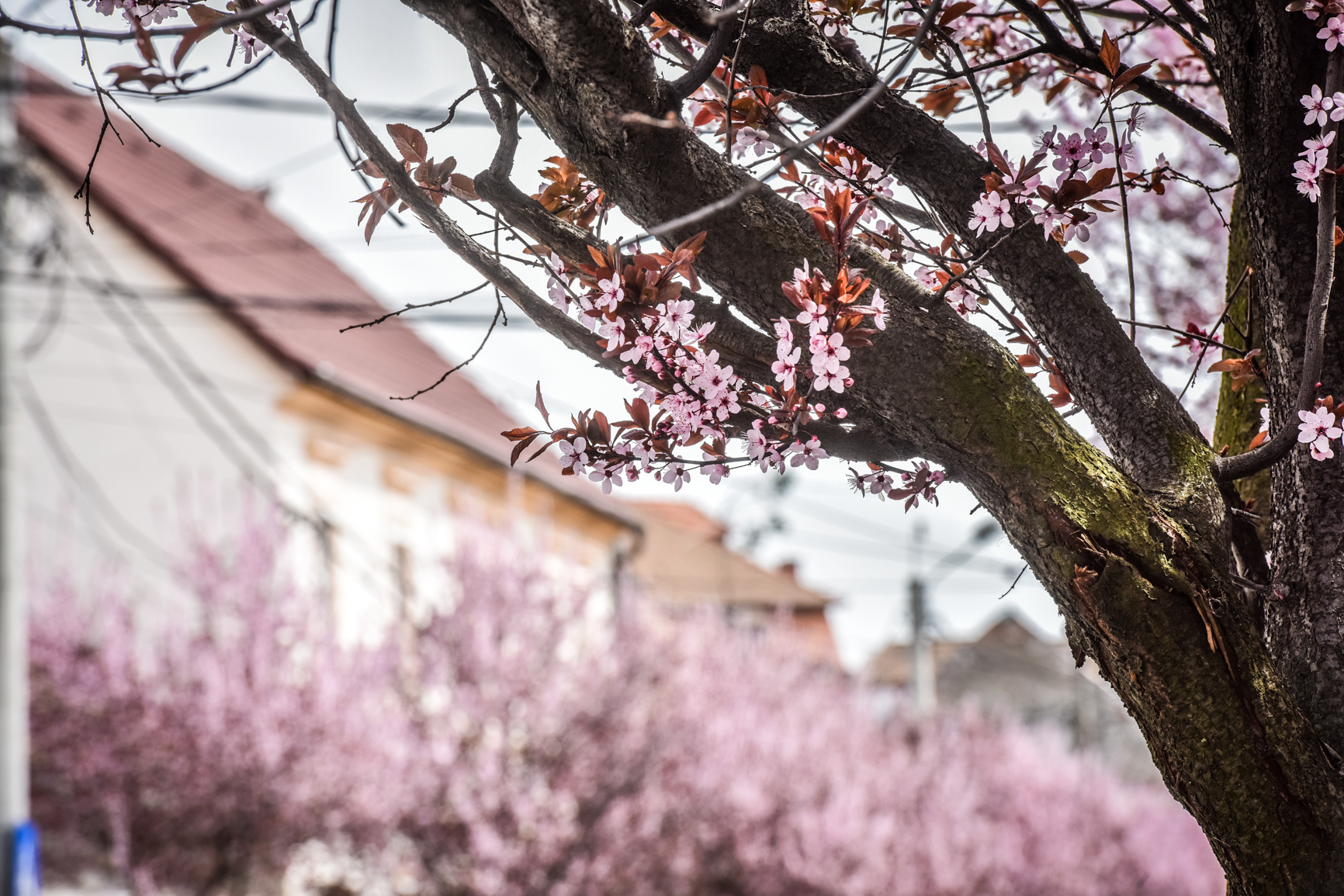 Minivacanță la începutul lunii mai, pentru bugetari. 2 mai va fi zi liberă, se face legătura între 1 mai și sfârșitul săptămânii