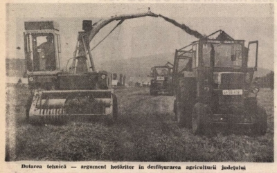 Se vinde o bucată din Agricola Dumbrăveni: 140 de mii de euro pentru 13 mii de metri pătrați și 6 construcții. Fostul I.A.S. producea în 1968 180 tone carne, iar în anii 2000, aici se creștea canabis. Povestea unei minciuni