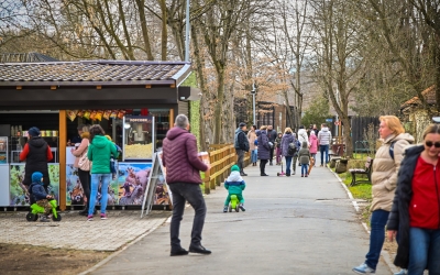 Magazin de suveniruri la ZOO Sibiu: Fără mâncare, praștii sau pistoale de jucărie. Primăria aprobă metodologia de închiriere a spațiului de 101 mp: minim 6.325 de lei/lună, contract pe 3 ani