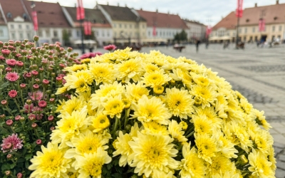 Știrile zilei: american la Sibiu acum 100 de ani, poveste de succes pe str. Turnului, șeful UPU despre cazurile de suicid