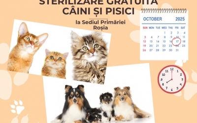 Campanie de sterilizare gratuită pentru câini și pisici, la Roșia